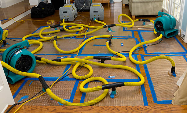 Professional Crawl Space Water Removal technician working in Uniopolis, OH